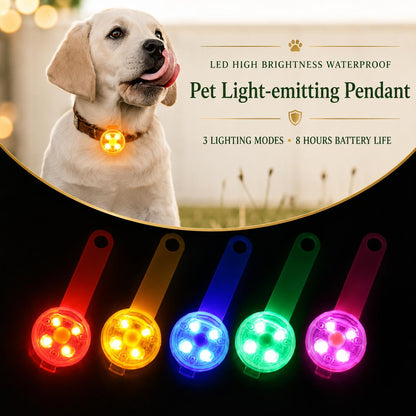 LED Dog Collar — Rechargeable Safety Light