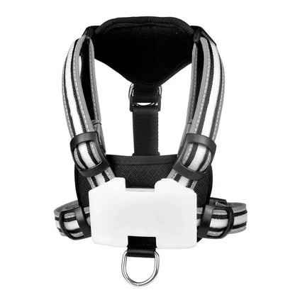 LED Dog Harness — Rechargeable & Waterproof