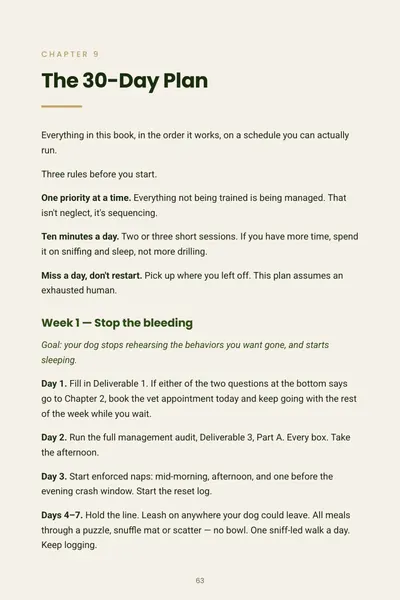 Sample page: the first page of The 30-Day Plan, with the three rules and Week 1