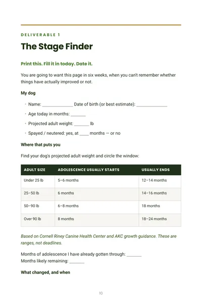 Sample page: The Stage Finder worksheet, with a table of adolescence timelines by dog size